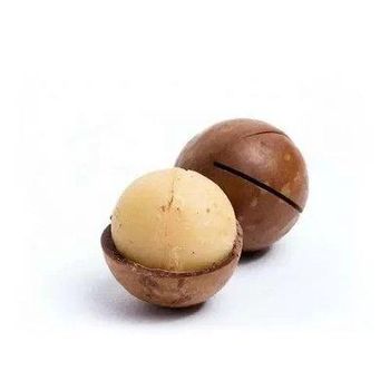 Macadamia Nuts from GLOBAL AGRICOL LTD Macadamia Nuts - GLOBAL AGRICOL LTD - Kenya